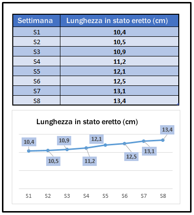 tenere traccia delle dimensioni 